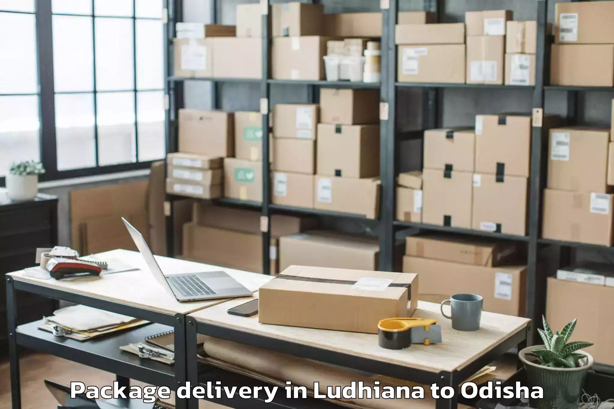 Professional Ludhiana to Junagarh Kalahandi Package Delivery